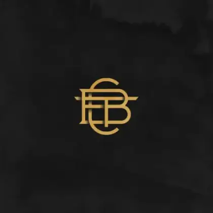 Logo Design — selected visual proof