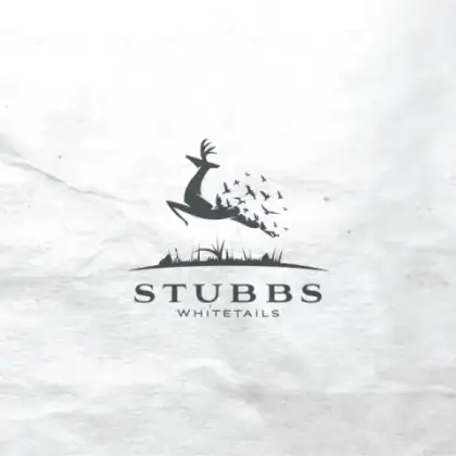 Logo Design — selected visual proof